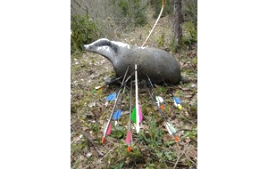 Concours 3D Guichen
